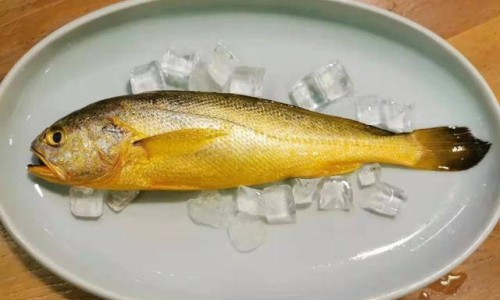 豆芽和绿豆营养成份网 - 豆芽和绿豆营养成份对比,黄豆芽和绿豆芽营养成分