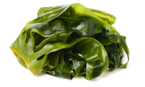 绿豆芽与绿豆的功效一样吗-豆芽和绿豆营养成份网 - 豆芽和绿豆营养成份对比,黄豆芽和绿豆芽营养成分
