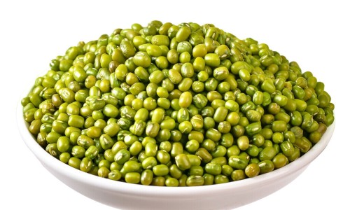 豆芽和绿豆营养成份对比-豆芽和绿豆营养成份网 - 豆芽和绿豆营养成份对比,黄豆芽和绿豆芽营养成分