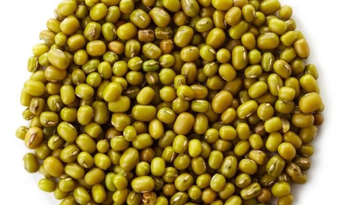 绿豆芽与绿豆的功效一样吗-豆芽和绿豆营养成份网 - 豆芽和绿豆营养成份对比,黄豆芽和绿豆芽营养成分